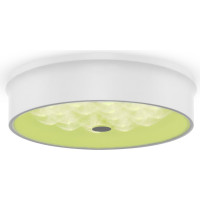 Потолочный светильник Freya cells led 24w, металл, белый FR10011CL-L24W