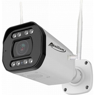 Камера AKSILIUM IP-503 FMSW (2.8) 1 SD AI УТ000114217