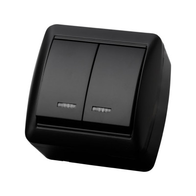 Выключатель 2 клавишный TDM ELECTRIC открытой установки с подсветкой IP44 10А графит "Селигер" SQ1818-0304