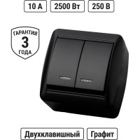 Выключатель 2 клавишный TDM ELECTRIC открытой установки с подсветкой IP44 10А графит "Селигер" SQ1818-0304