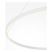 Подвесной светильник MAYTONI Rim Алюминий, Белый MOD058PL-L65WK