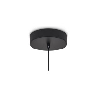 Подвесной светильник Freya Vabi Черный Металл FR6132PL-L15B