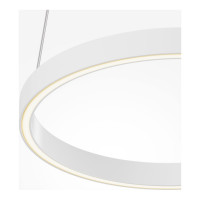 Подвесной светильник MAYTONI Rim Алюминий, Белый MOD058PL-L22WK