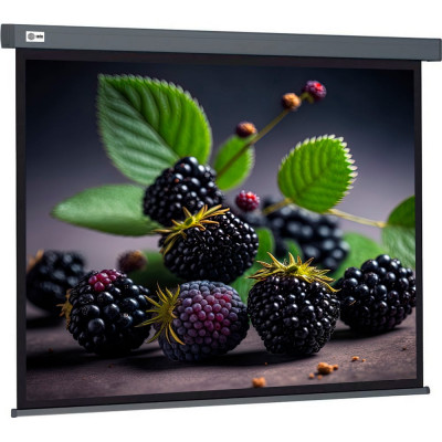 Настенно-потолочный рулонный экран Cactus Wallscreen CS-PSW-127x127-SG 1678295