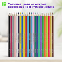 Цветные карандаши BERLINGO SuperSoft Жил-был кот 24 цвета, трехгранные, заточенные, картонная коробка SS00524