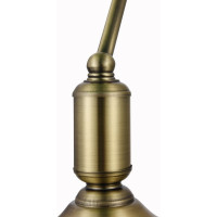 Настольный светильник MAYTONI Kiwi 1хE27x40 W Z153-TL-01-BS