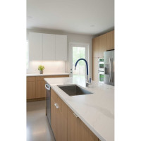 Смеситель для кухни ARGOTECH КЛИО \ KLIO хром/синий, пластичный излив, d-35 41036