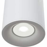Потолочный светильник MAYTONI Alfa C012CL-01W