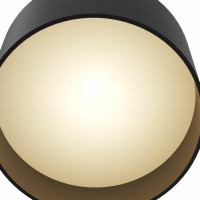 Потолочный светильник MAYTONI Planet C009CW-L12B