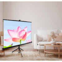 Напольный рулонный экран Cactus Triscreen 16:9, 104.4x186 см, черный CS-PST-104X186 359026