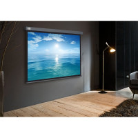 Настенно-потолочный рулонный экран CACTUS 104.6x186 см Wallscreen CS-PSW-104x186-SG 16:9 серый 1678287