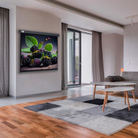 Настенно-потолочный рулонный экран CACTUS 127x127 см Wallscreen CS-PSW-127x127-SG 1:1 серый 1678295