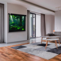 Настенно-потолочный рулонный экран CACTUS 213x213 см Wallscreen CS-PSW-213x213-BK 1:1 черный 1678341