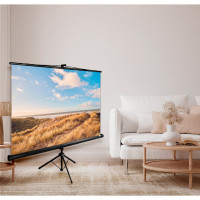 Напольный рулонный экран CACTUS 180x180 см Triscreen CS-PST-180x180 1:1 черный 359024