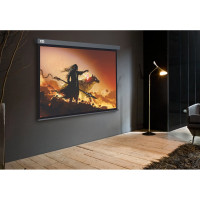Настенно-потолочный рулонный экран CACTUS 213x213 см Wallscreen CS-PSW-213x213-SG 1:1 серый 1678340