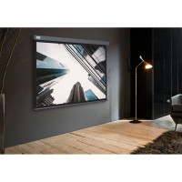 Настенно-потолочный рулонный экран CACTUS 183x244 см Wallscreen CS-PSW-183x244-SG 4:3 серый 1678327