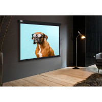 Настенно-потолочный рулонный экран CACTUS 183x244 см Wallscreen CS-PSW-183x244-BK 4:3 черный 1678329