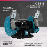 Заточный станок Oasis ZS-20