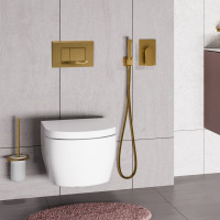 Смеситель для душа WasserKRAFT латунь Aisch 5551