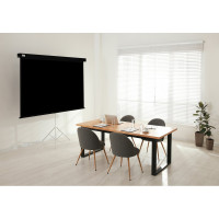 Настенно-потолочный рулонный экран CACTUS 183x244 см Wallscreen CS-PSW-183x244-BK 4:3 черный 1678329