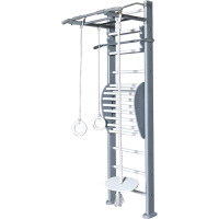 ДСК Perfetto sport Scala in legno 1 grigio PS-114 СГ000005344