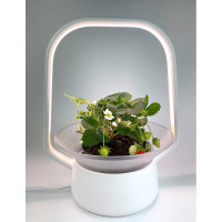 Настольная садовая ферма Vegebox V-Basket белая, 7 посадочных мест, с фитолампой Vbasket-W