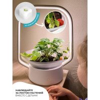 Настольная садовая ферма Vegebox V-Basket белая, 7 посадочных мест, с фитолампой Vbasket-W