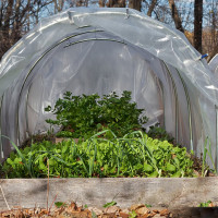 Пленка Удачников п/э, 200 мк, по 10х1,5 м, 1 шт. 07777