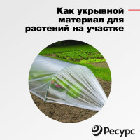 Пленка Ресурс п/э, 60 мкм, 10х1,5 м, эконом, 1 шт. 22770