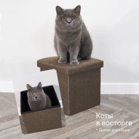 Короб складной ГЕЛЕОС Пуф 31-БР, размер 30x30x30 см, коричневый ПУФ-31-БР