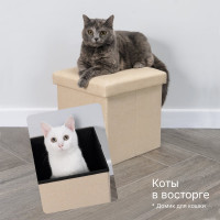 Короб складной ГЕЛЕОС Пуф 31-КХ, размер 30x30x30 см, бежевый ПУФ-31-КХ