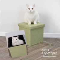 Короб складной ГЕЛЕОС, размер 30x30x30 см, светло-зеленый ПУФ-31-СЗ