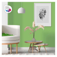 Краска MALARE ГОСТ для стен, потолков и обоев, лайм, 2.7 л 2036716532953