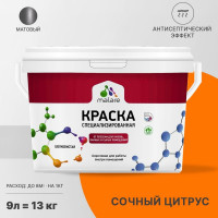 Краска MALARE от плесени и грибка, сочный цитрус, 13 кг КБСПТСОЦМ1300