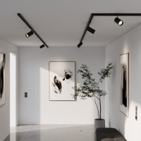 Трековый светильник Elektrostandard Slim Magnetic R02 12W 4200K черный 85012 01 a057200