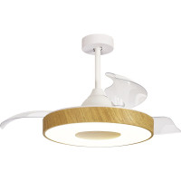 Потолочная люстра-вентилятор MANTRA coin fan 8217