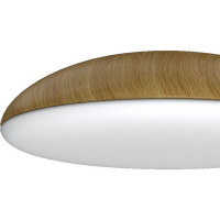 Потолочный светильник MANTRA kazz 8136