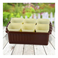 Комплект для рассады ЛЕТО 24,7x16,6x9см, 6 горшков со съемным дном 250мл, ящик, пластик 29655