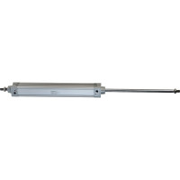 Пневмоцилиндр NBPT DNCD 32x250-S 80695