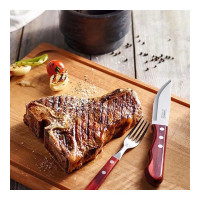 Вилка столовая Tramontina Polywood 21102/470-TR