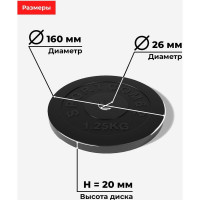 Комплект обрезиненных дисков BARFITS Sportcom 26 мм, 1.25 кг, 6 шт. 1181160689