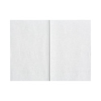 Салфетки бумажные Luscan PROFESSIONAL Luscan Professional N4 2сл V слож 200л/уп 982677