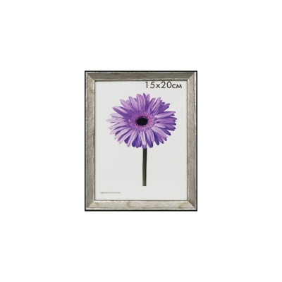 Пластиковая рамка ООО Изометрика Viola 0118-8-4507