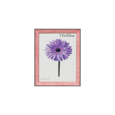 Пластиковая рамка ООО Изометрика Viola 0118-15-4513