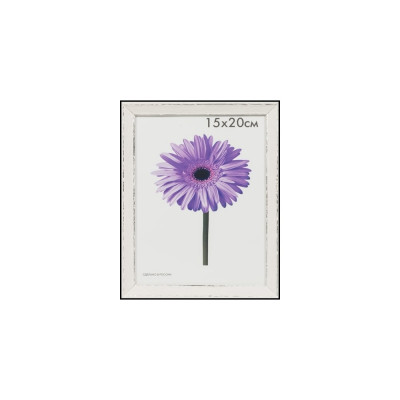 Пластиковая рамка ООО Изометрика Viola 0118-8-4509