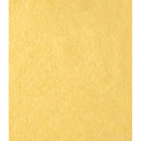 Декоративная штукатурка Paritet Гладкое покрытие №15 (шелк; желто-песочный; 1 кг) PDLW-B15