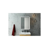 Зеркало-шкаф с подсветкой Art&Max PLATINO AM-Pla-550-800-1D-R-DS-F