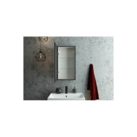 Зеркало-шкаф с подсветкой Art&Max TECHNO AM-Tec-350-650-1D-L-DS-F-Nero