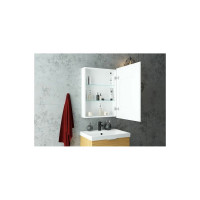 Зеркало-шкаф с подсветкой Art&Max TECHNO AM-Tec-550-800-1D-R-DS-F