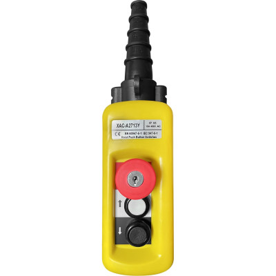 Пульт управления OCALIFT 2 кнопки, 1 скорость, стоп, ключ, IP65 XAC-A2713Y